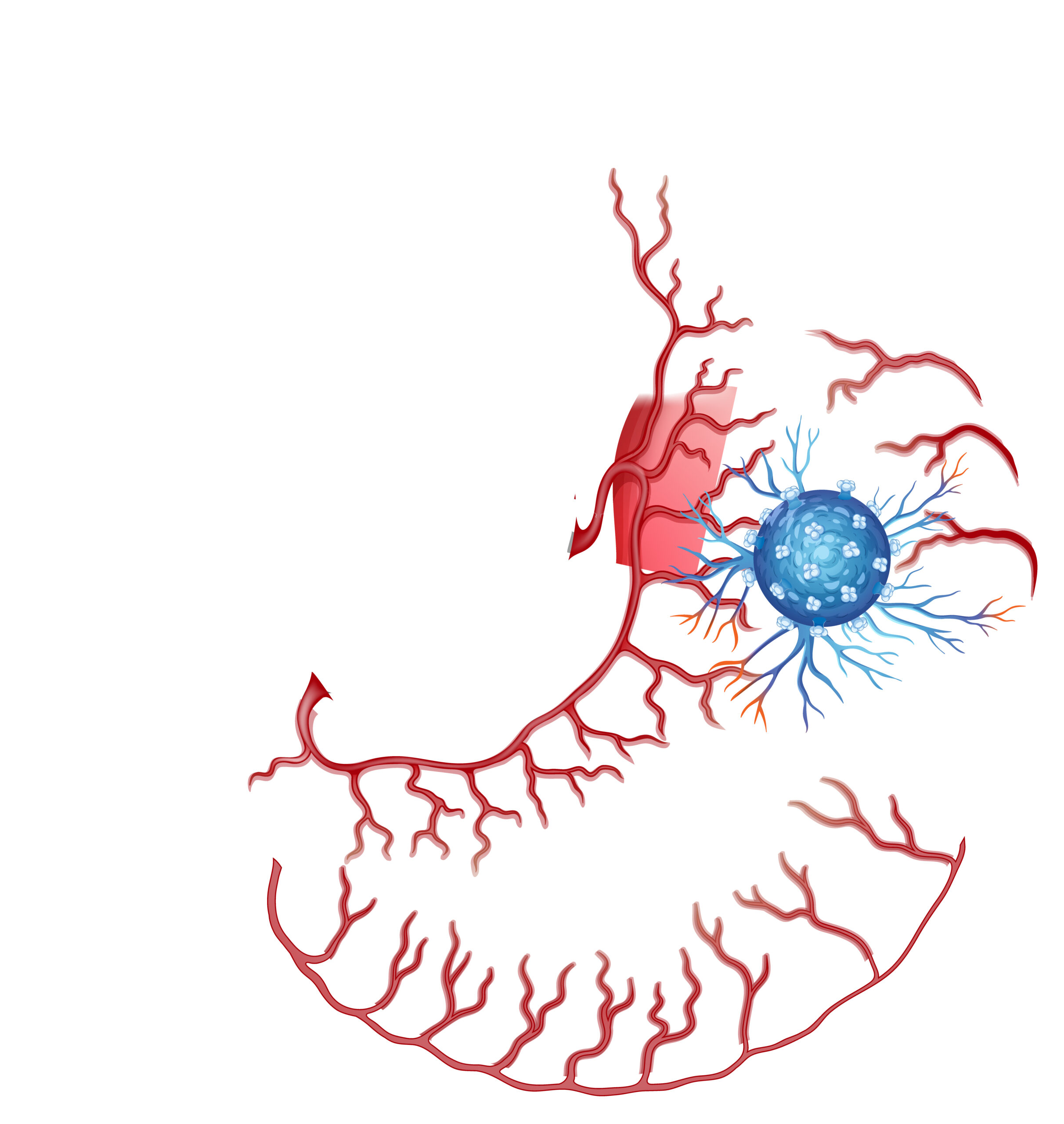 Nerve Block and Ablation in Chandigarh